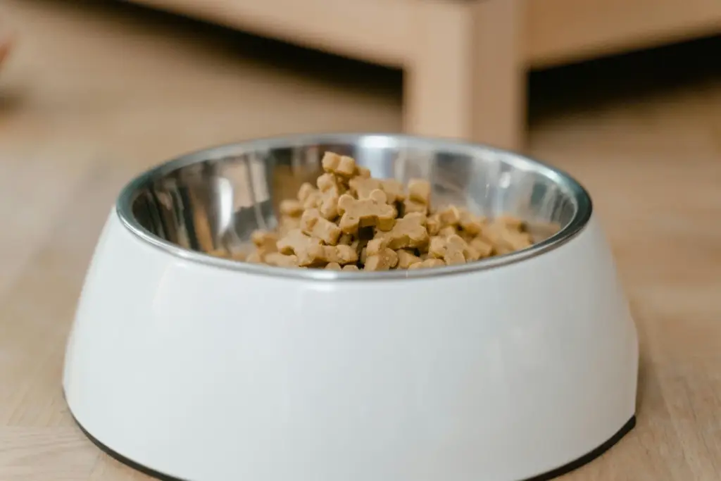Embalagem para ração e petiscos: os melhores formatos para cada produto pet